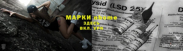 прущие грибы Белокуриха