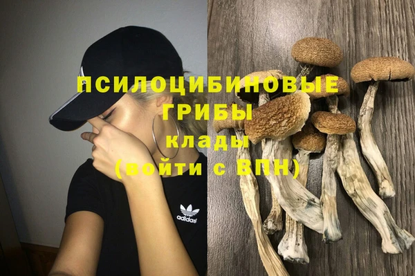 ПСИЛОЦИБИНОВЫЕ ГРИБЫ Беломорск
