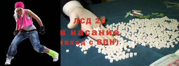прущие грибы Белокуриха