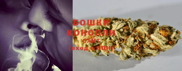 прущие грибы Белокуриха