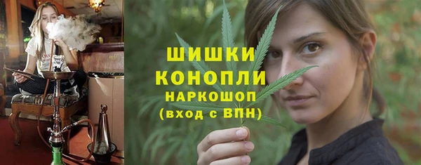 прущие грибы Белокуриха