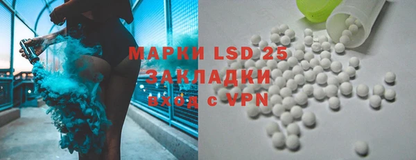 прущие грибы Белокуриха