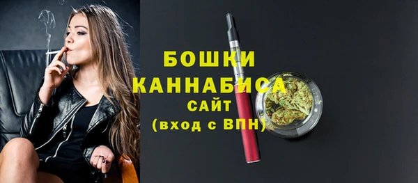 индика Белоозёрский