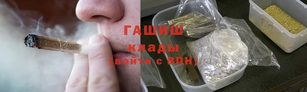 прущие грибы Белокуриха