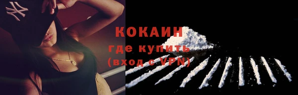 индика Белоозёрский