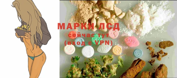 индика Белоозёрский