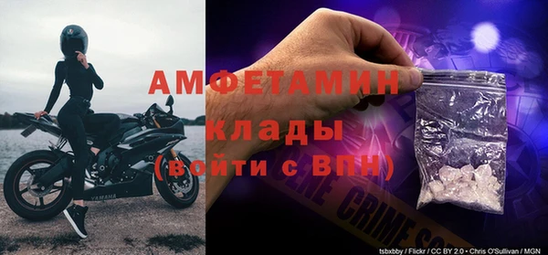 индика Белоозёрский