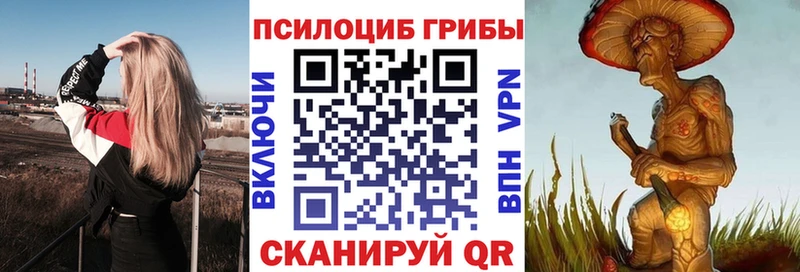 Псилоцибиновые грибы Magic Shrooms  Куровское 